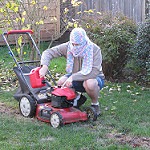 gas mower photo