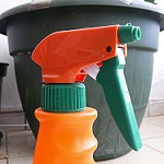 spray bottle photo