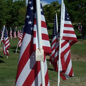 healing fields flags