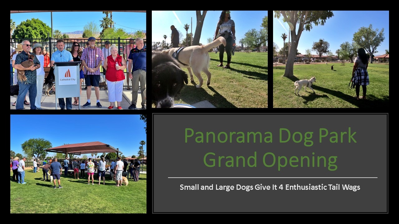 Panorama Dog Park Now Open