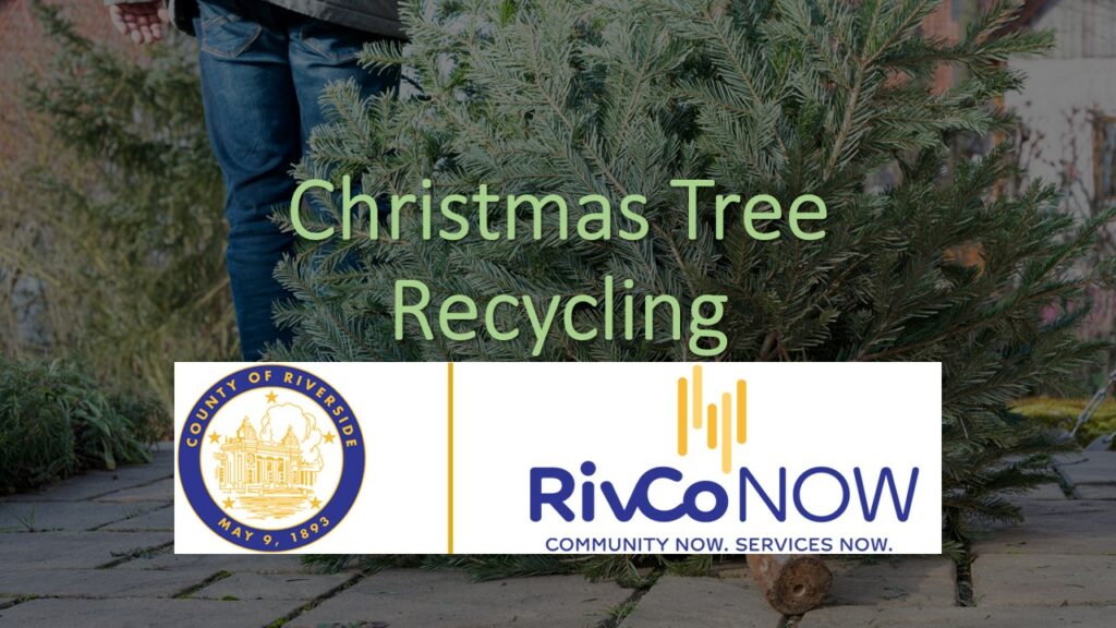 Riverside County Highlights Free Christmas Tree Recycling Dropoff