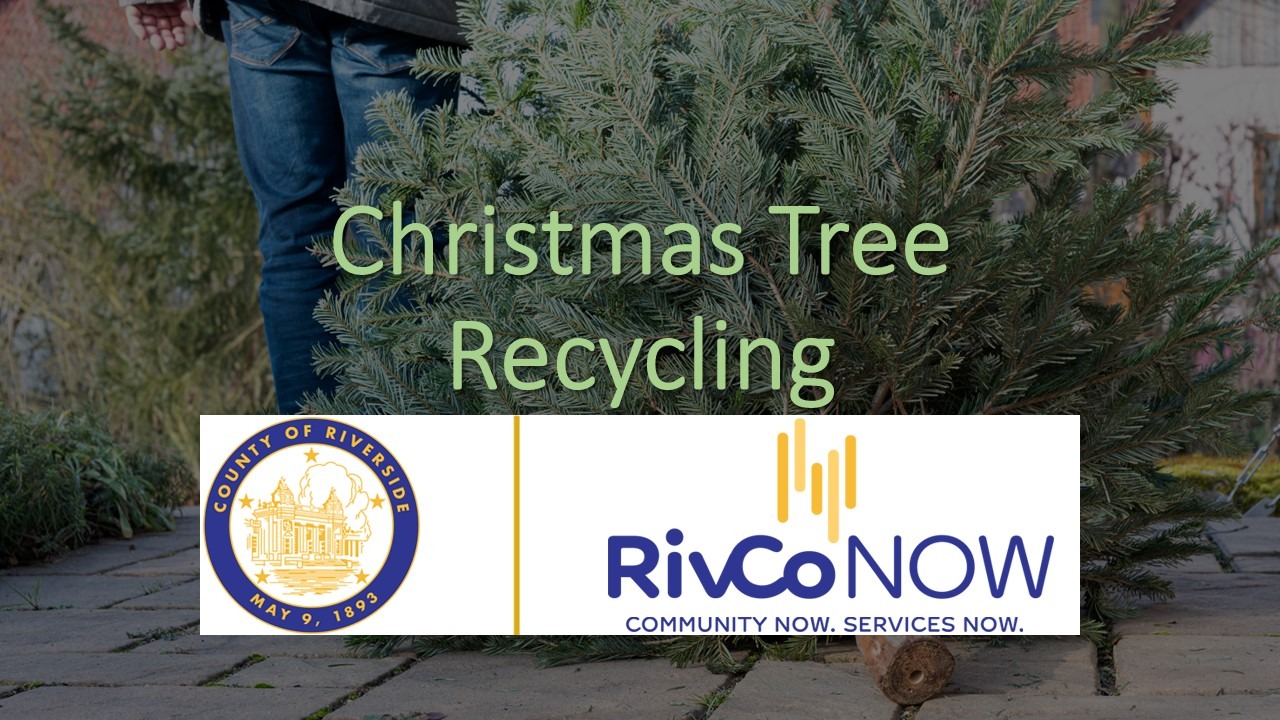 Riverside County Highlights Free Christmas Tree Recycling Drop-off Locations - Discover Cathedral City