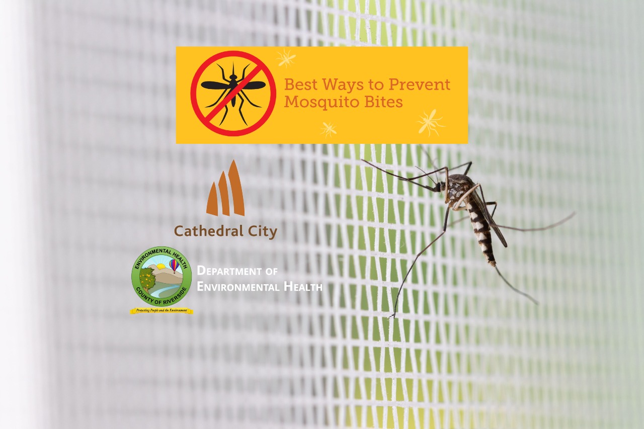 Protect Yourself from Mosquito Bites During National Mosquito Control Awareness Week