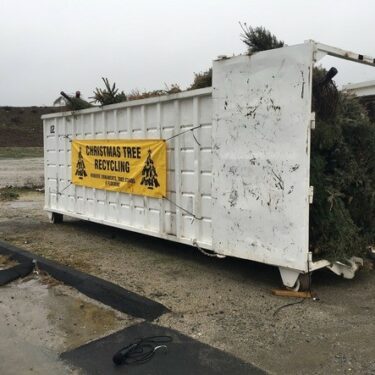 Christmas tree recycling highlights composting in Riverside County