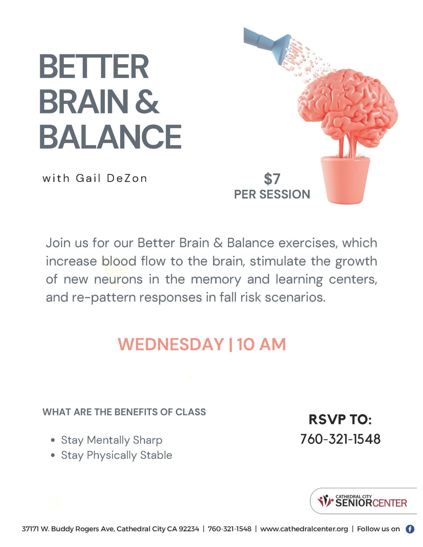 Better Brain & Balance With Gail DeZon Flyer